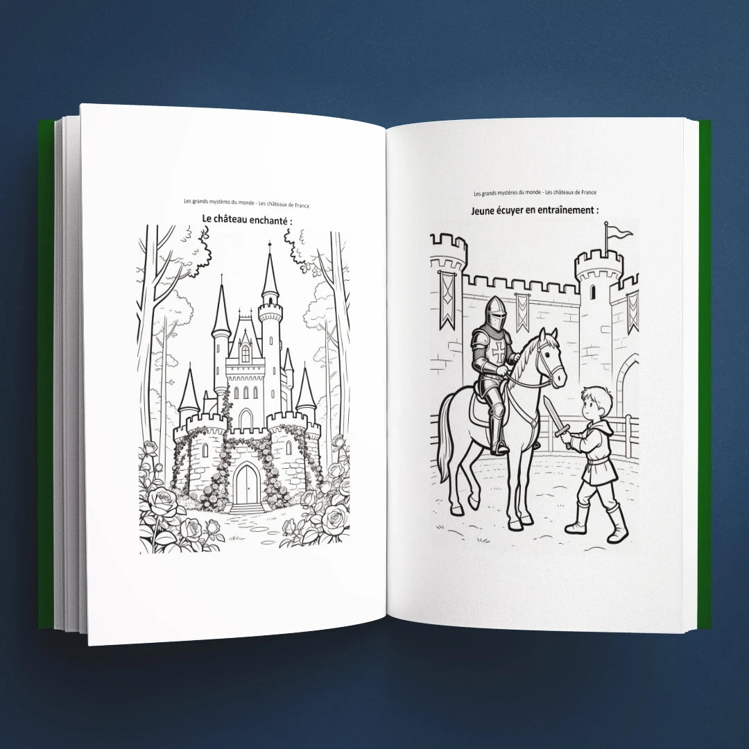 Coloriages du livre pour enfants Les châteaux de France : la vraie histoire derrière le mystère (6-12 ans)