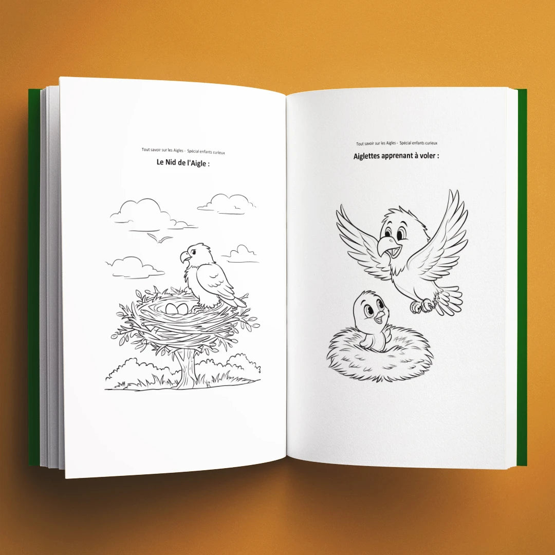 Coloriages du livre pour enfants Tout savoir sur les aigles (6-12 ans)