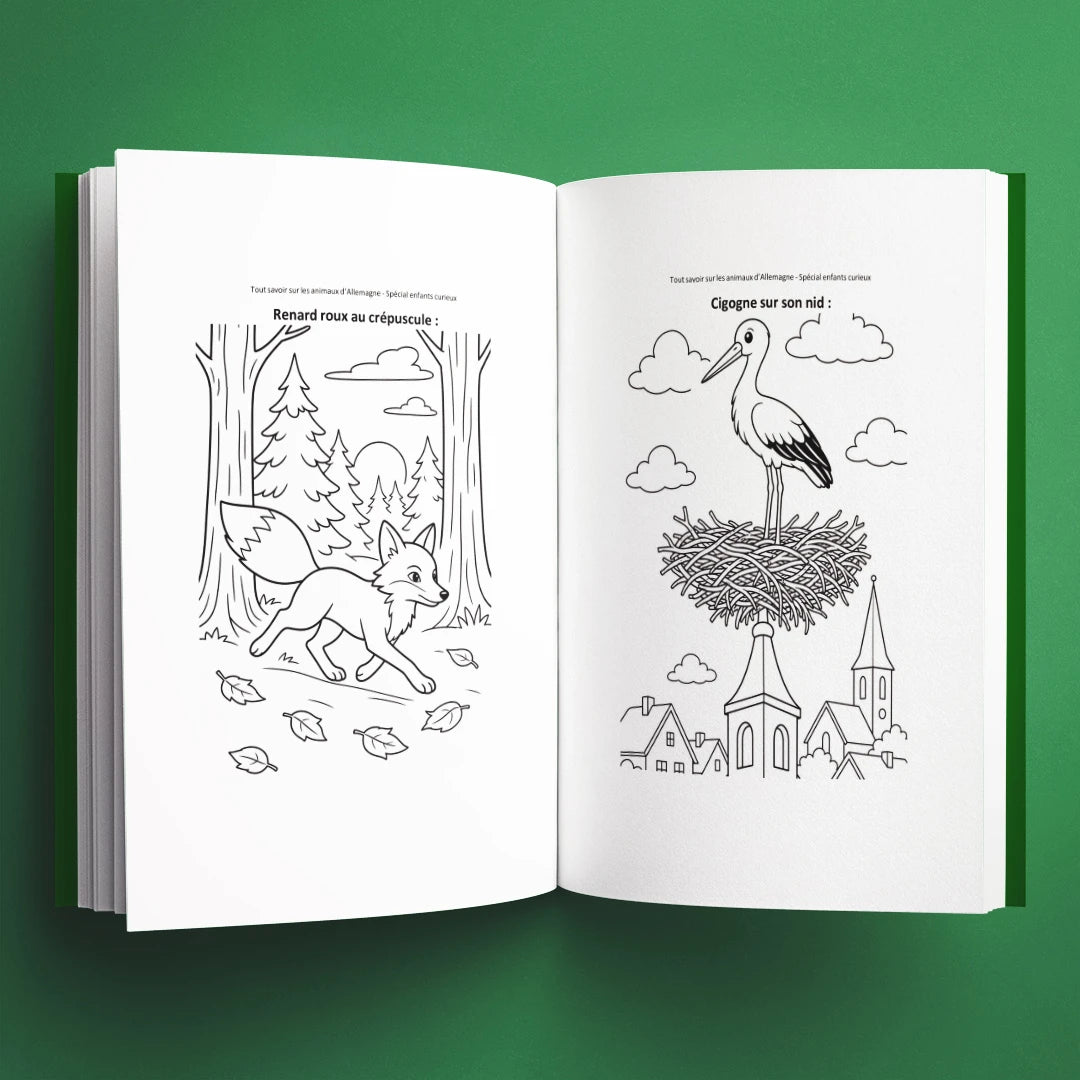 Coloriages du livre pour enfants Tout savoir sur les animaux d'Allemagne (6-12 ans)