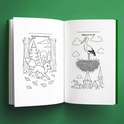 Coloriages du livre pour enfants Tout savoir sur les animaux d'Allemagne (6-12 ans)