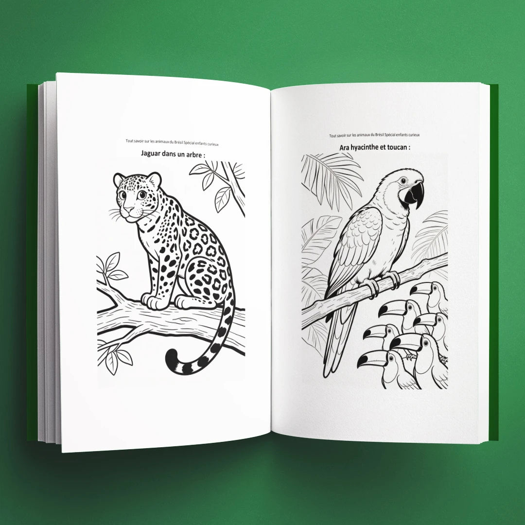 Coloriages du livre pour enfants Tout savoir sur les animaux du Brésil (6-12 ans)