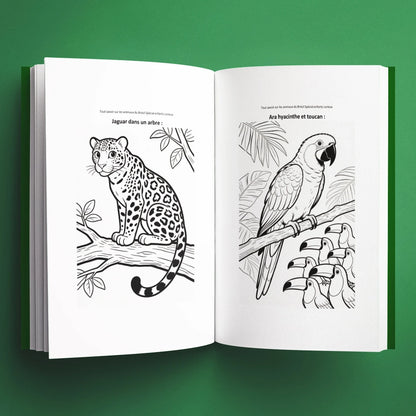 Coloriages du livre pour enfants Tout savoir sur les animaux du Brésil (6-12 ans)