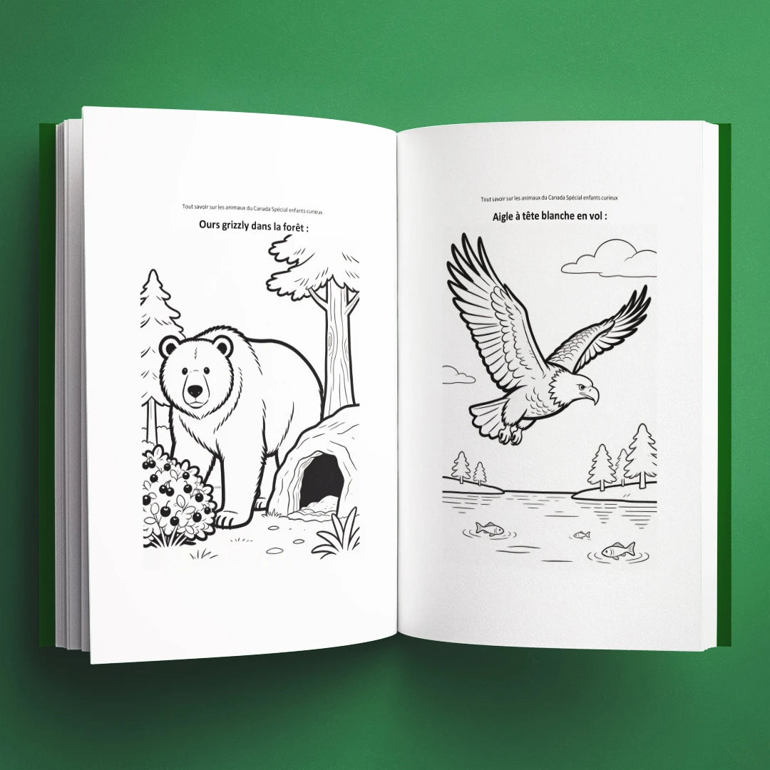 Coloriages du livre pour enfants Tout savoir sur les animaux du Canada (6-12 ans)