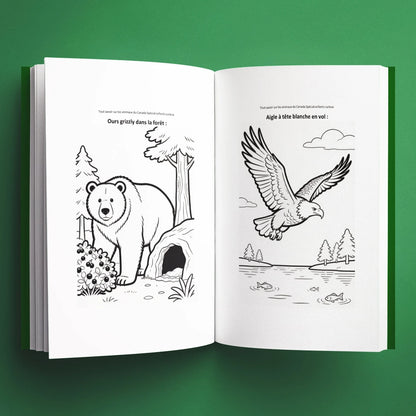 Coloriages du livre pour enfants Tout savoir sur les animaux du Canada (6-12 ans)