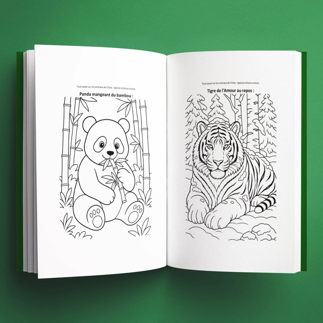 Coloriages du livre pour enfants Tout savoir sur les animaux de Chine (6-12 ans)
