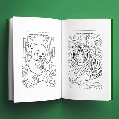 Coloriages du livre pour enfants Tout savoir sur les animaux de Chine (6-12 ans)