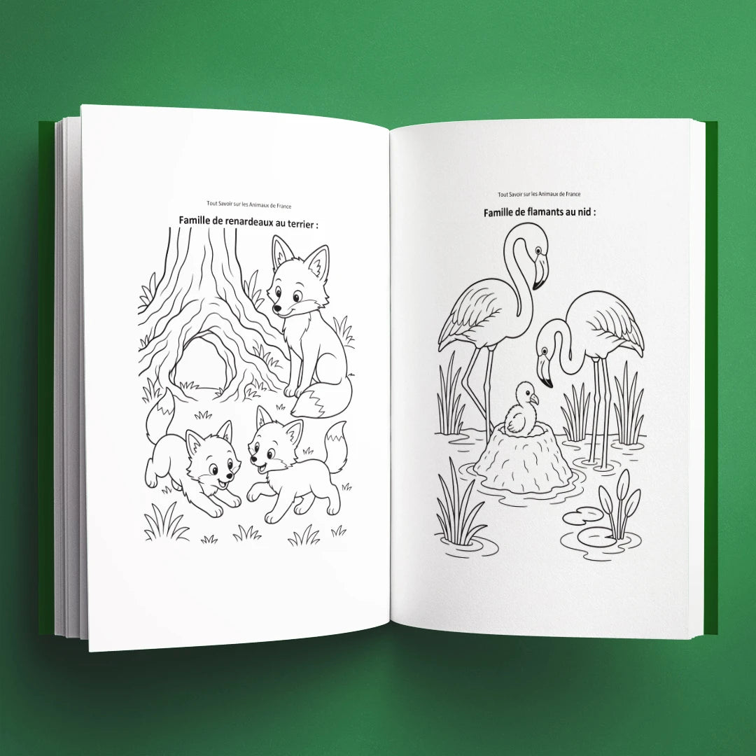Coloriages du livre pour enfants Tout savoir sur les animaux de France (6-12 ans)