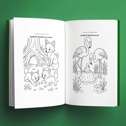 Coloriages du livre pour enfants Tout savoir sur les animaux de France (6-12 ans)