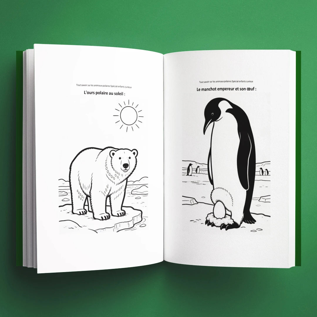 Coloriages du livre pour enfants Tout savoir sur les animaux polaires (6-12 ans)