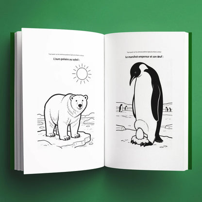 Coloriages du livre pour enfants Tout savoir sur les animaux polaires (6-12 ans)