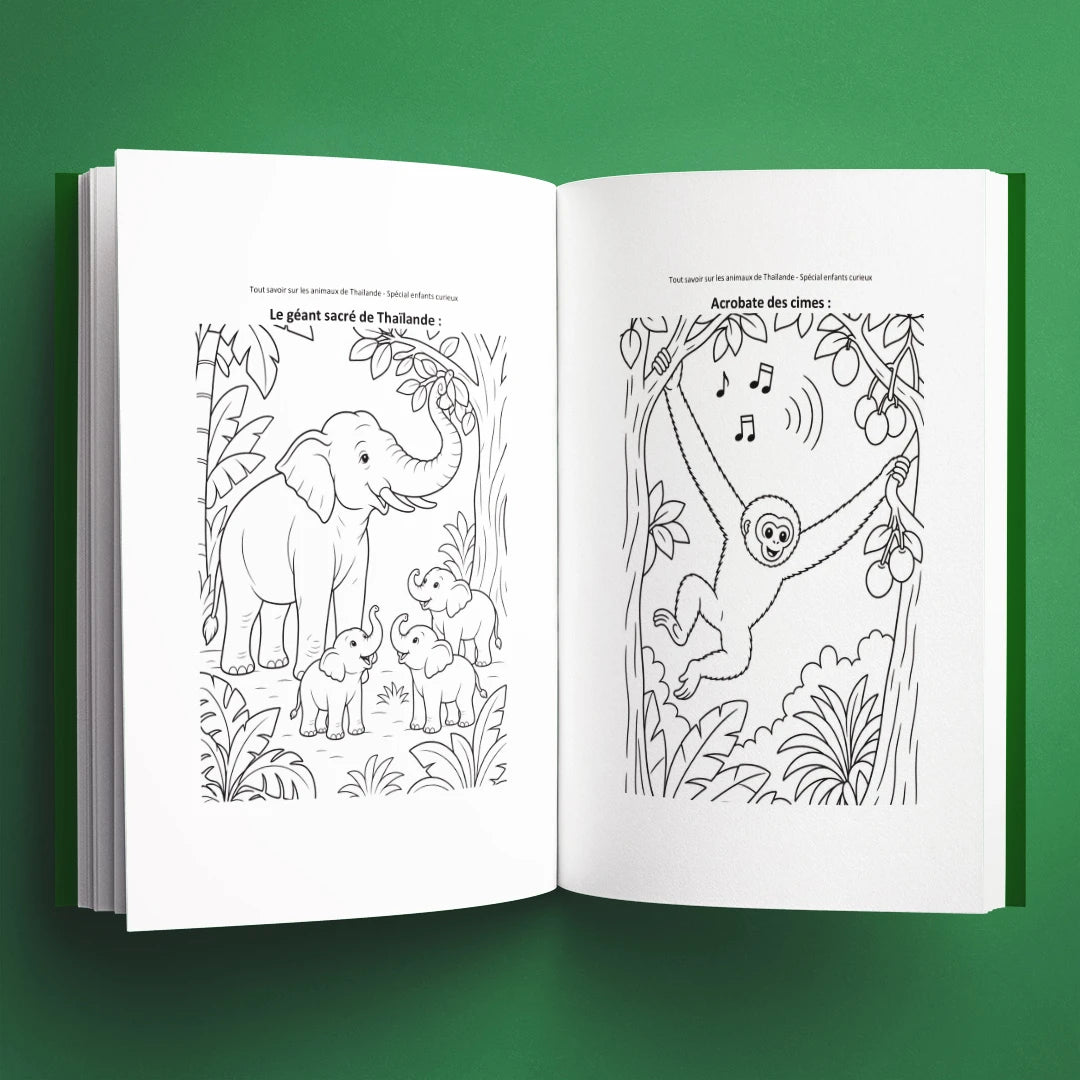 Coloriages du livre pour enfants Tout savoir sur les animaux de Thaïlande (6-12 ans)