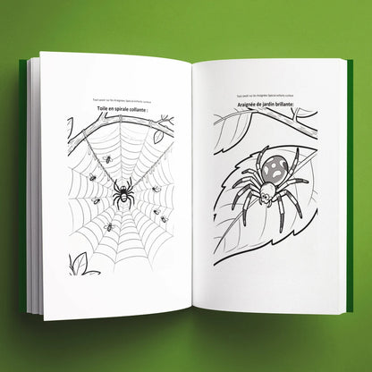 Coloriages du livre pour enfants Tout savoir sur les araignées (6-12 ans)