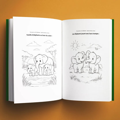 Coloriages du livre pour enfants Tout savoir sur les éléphants (6-12 ans)
