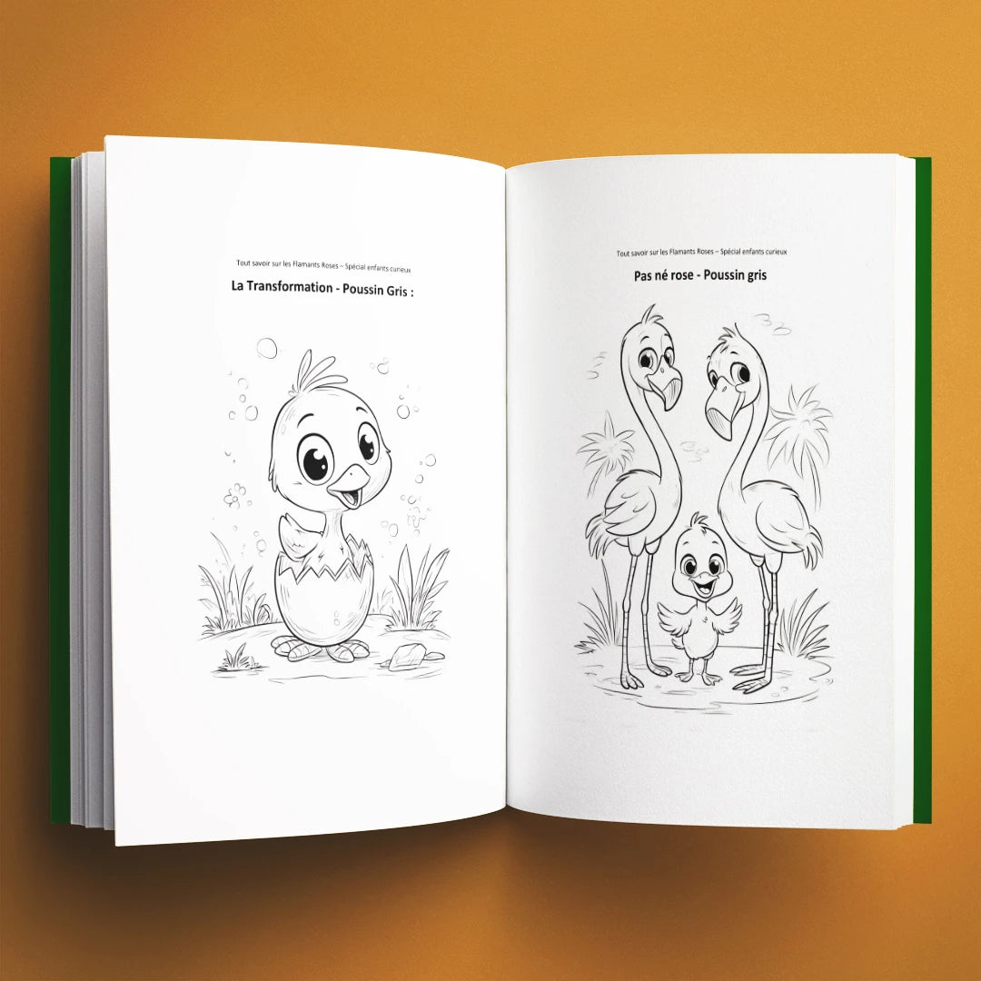 Coloriages du livre pour enfants Tout savoir sur les flamants roses (6-12 ans)