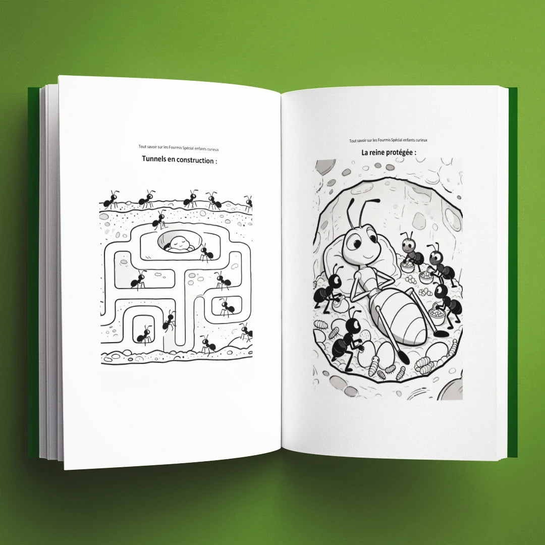 Coloriages du livre pour enfants Tout savoir sur les fourmis (6-12 ans)