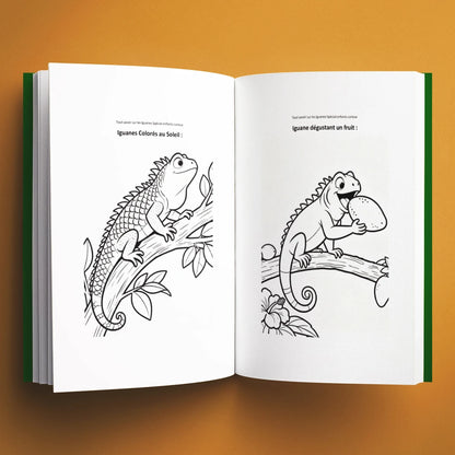 Coloriages du livre pour enfants Tout savoir sur les iguanes (6-12 ans)