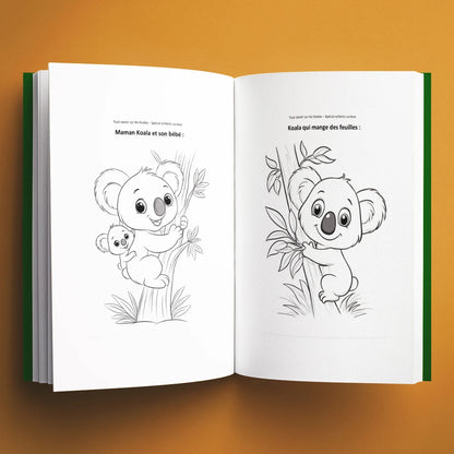 Coloriages du livre pour enfants Tout savoir sur les koalas (6-12 ans)