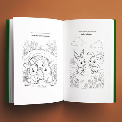 Coloriages du livre pour enfants Tout savoir sur les lapins (6-12 ans)