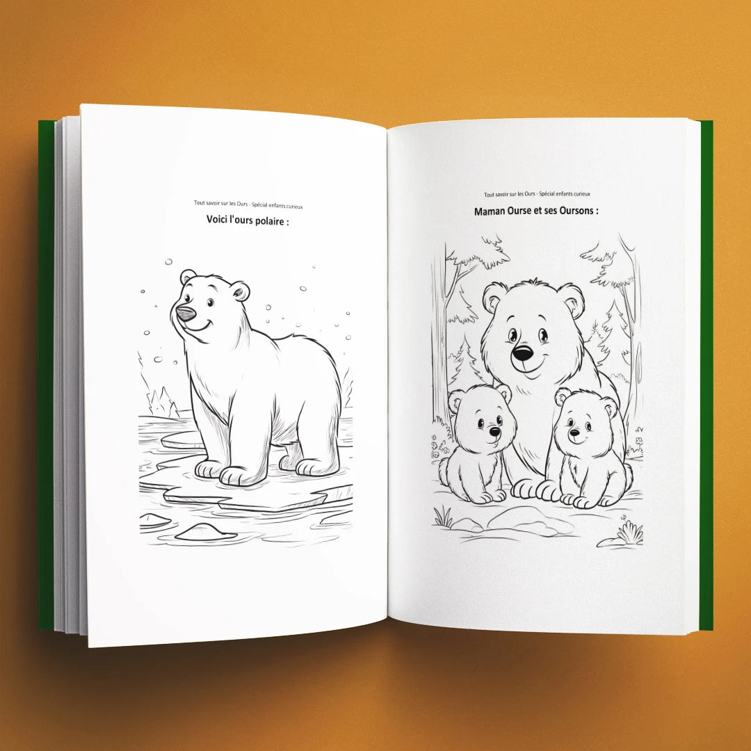 Coloriages du livre pour enfants Tout savoir sur les ours (6-12 ans)