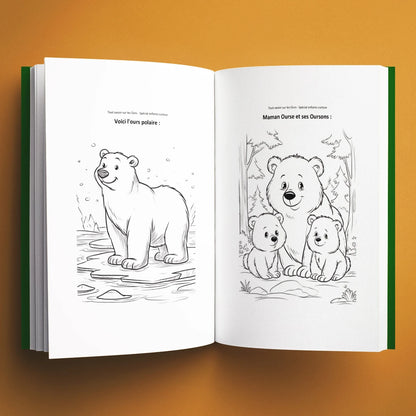 Coloriages du livre pour enfants Tout savoir sur les ours (6-12 ans)