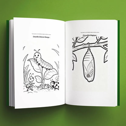 Coloriages du livre pour enfants Tout savoir sur les papillons (6-12 ans)