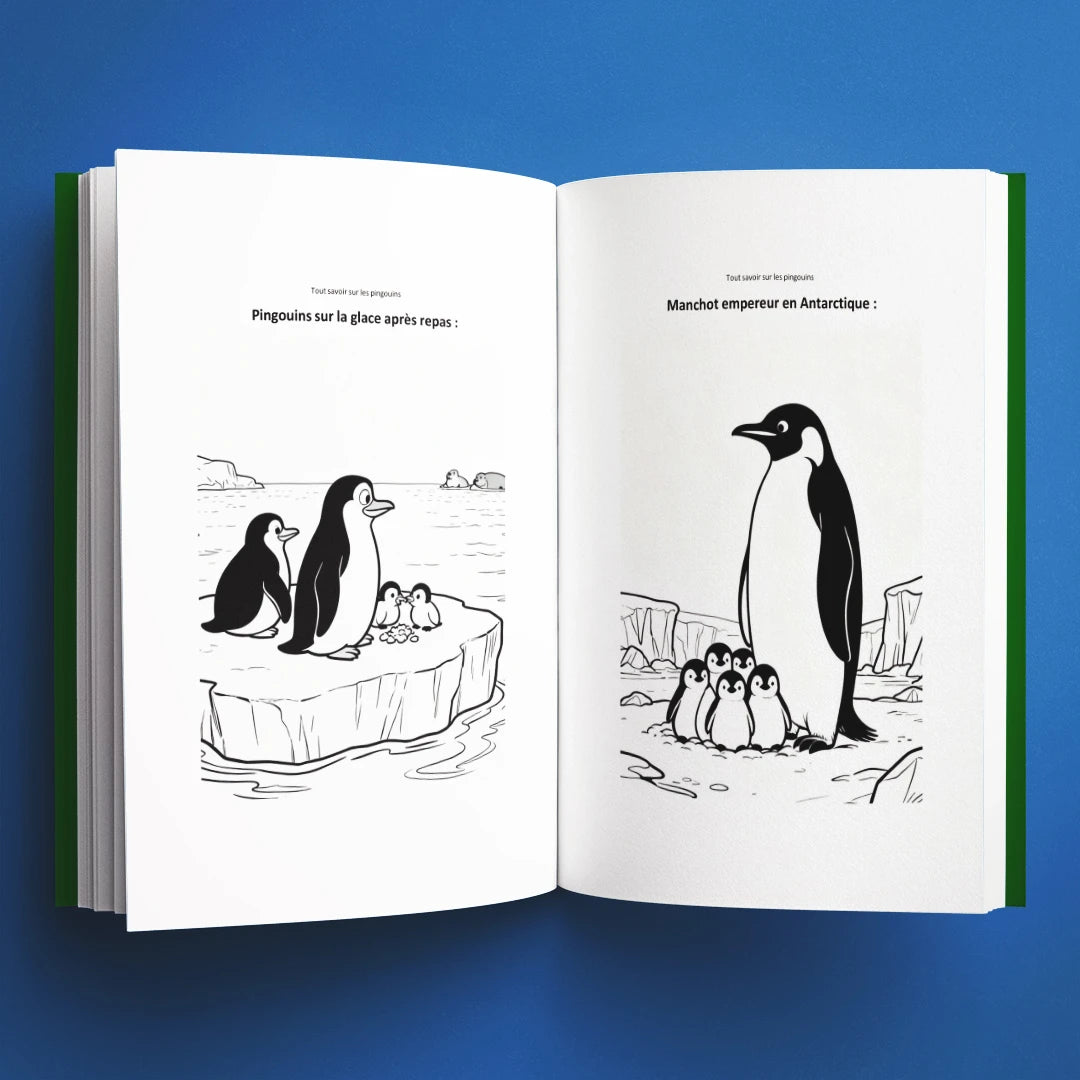 Coloriages du livre pour enfants Tout savoir sur les pingouins (6-12 ans)