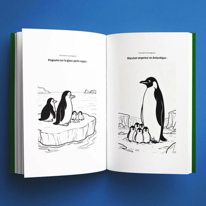 Coloriages du livre pour enfants Tout savoir sur les pingouins (6-12 ans)