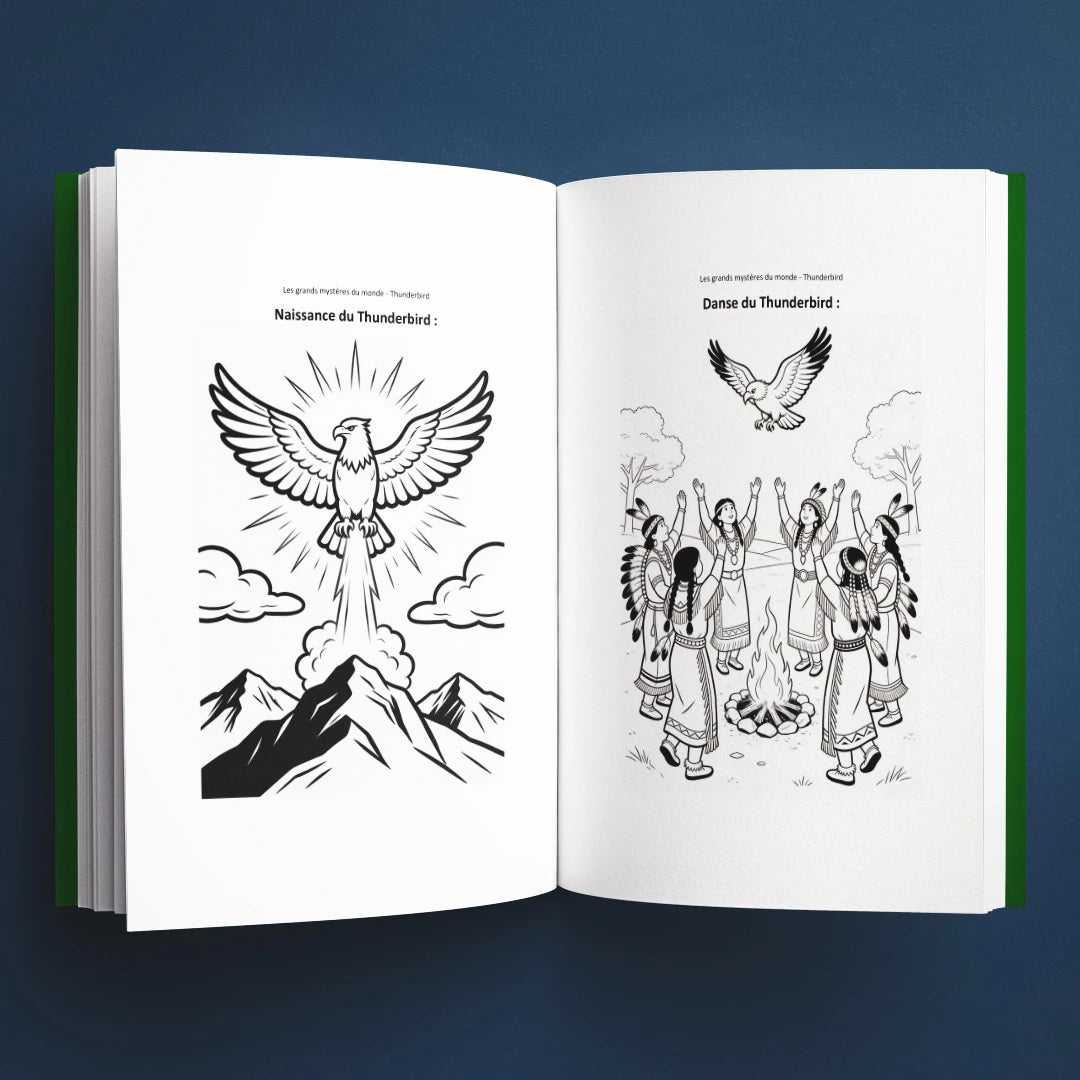 Coloriages du livre pour enfants Thunderbird : la vraie histoire derrière le mystère (6-12 ans)