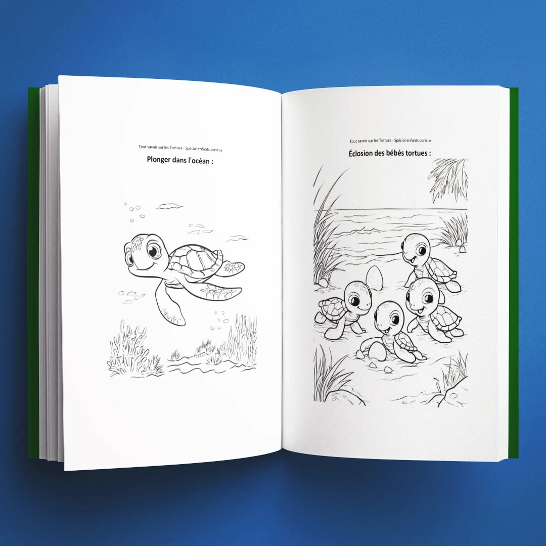 Coloriages du livre pour enfants Tout savoir sur les tortues (6-12 ans)